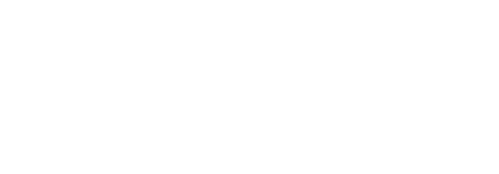 V4 Bilinski&Co · logo oficial branco para fundo escuro
